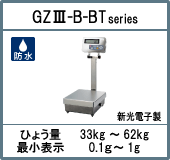GZⅢ-B-BT