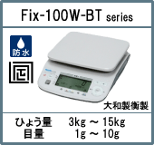 Fix-100W-BT
